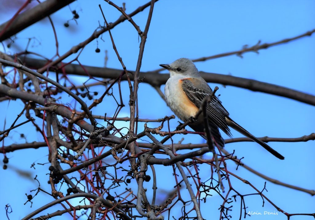 Ici s'affiche l'endroit de la prise de vue